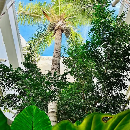 Apartamento Luxury Waterfront Benalmádena